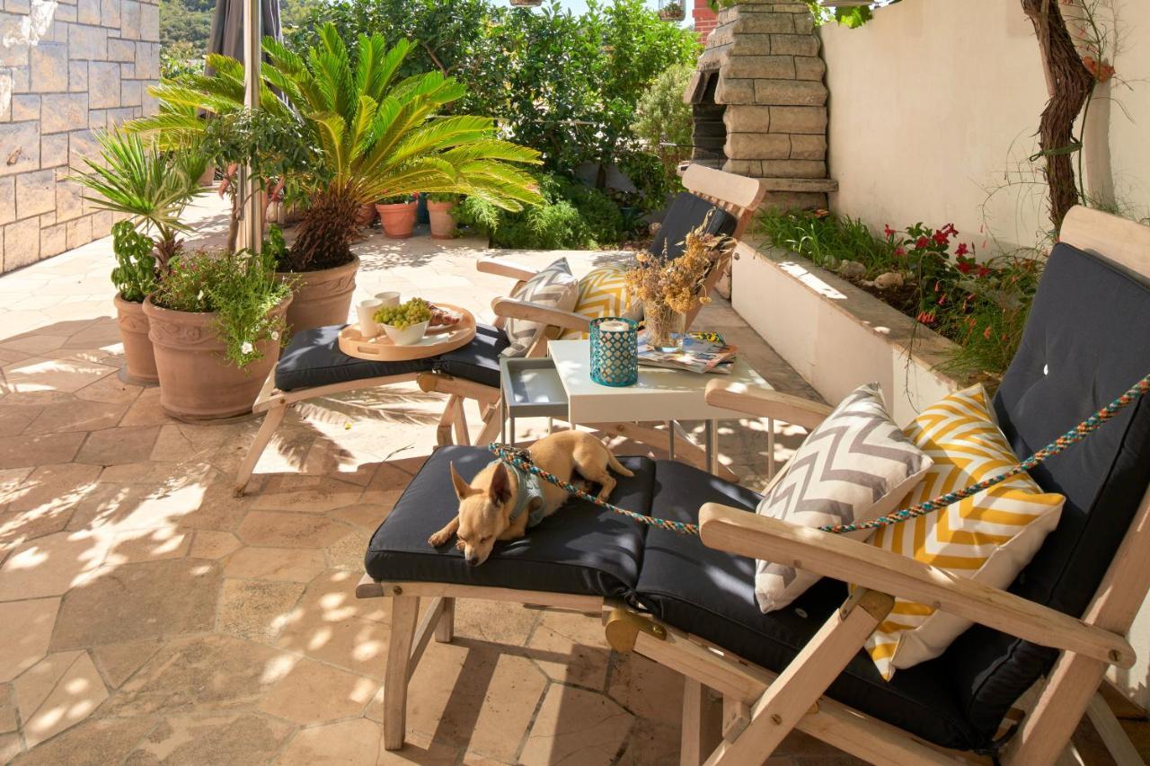 Apartament Oasis *