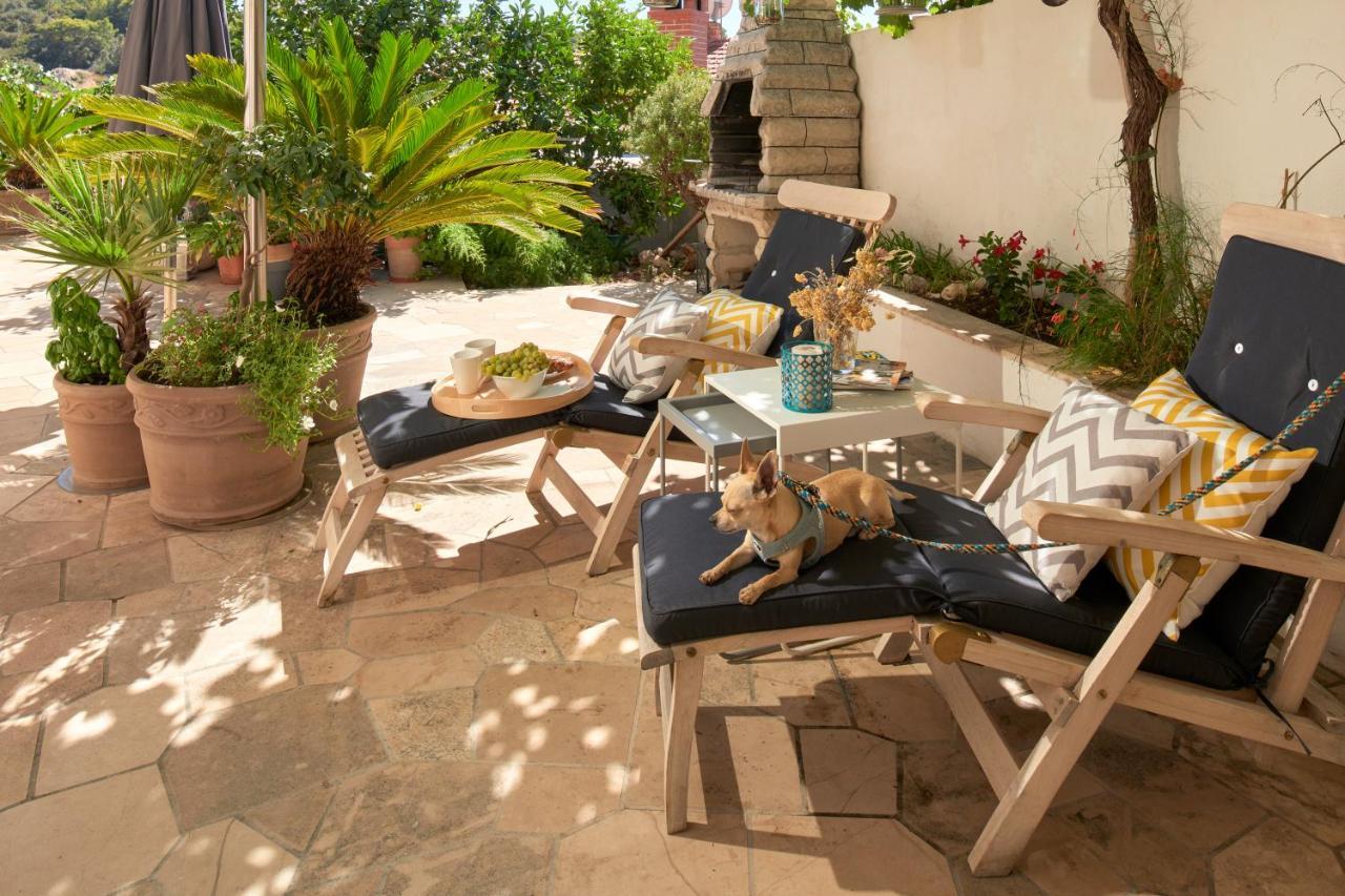 Apartament Oasis